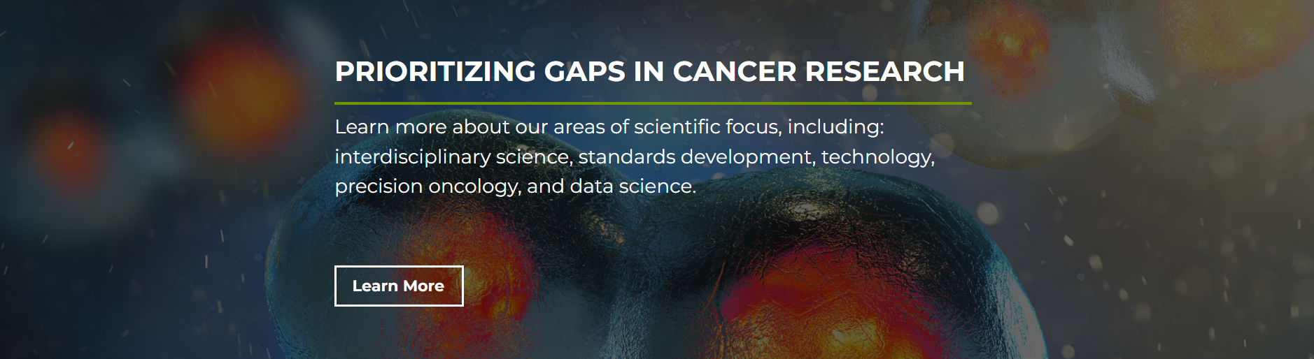 Prioritizing Gaps in Cancer Research
